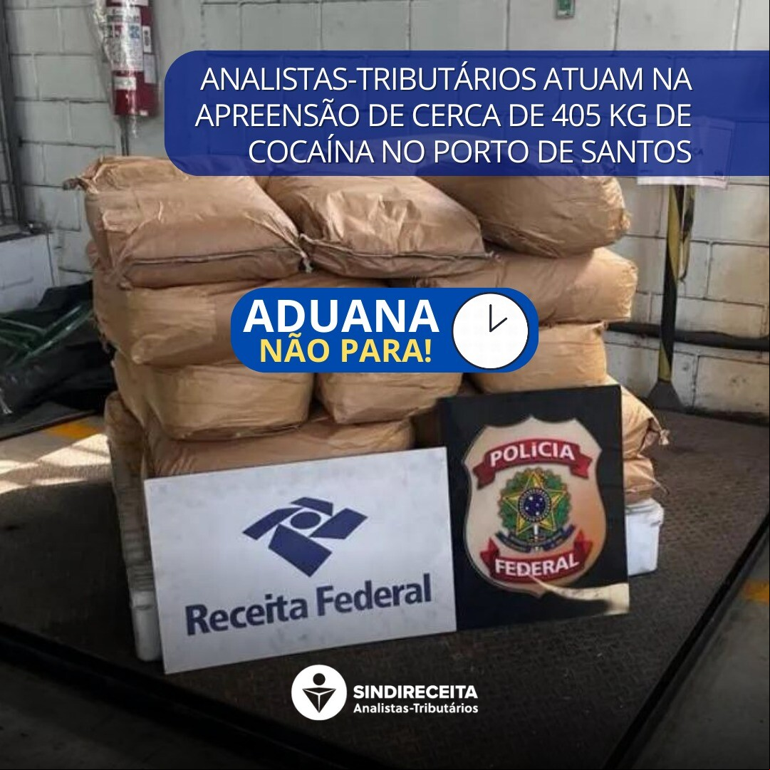 Analistas-Tributários atuam na apreensão de cerca de 405 kg de cocaína no Porto de Santos